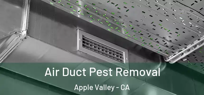 Air Duct Pest Removal Apple Valley - CA