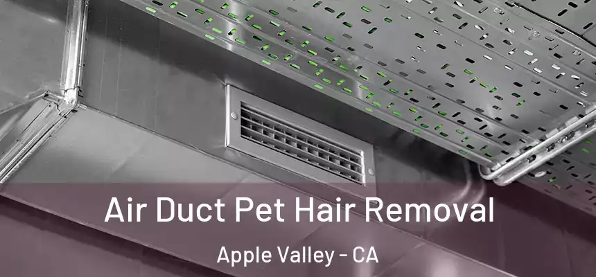 Air Duct Pet Hair Removal Apple Valley - CA