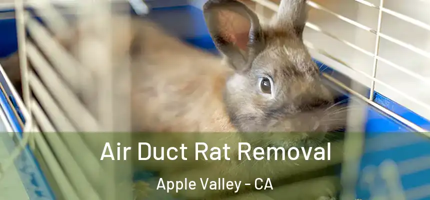 Air Duct Rat Removal Apple Valley - CA