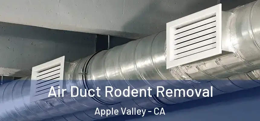 Air Duct Rodent Removal Apple Valley - CA