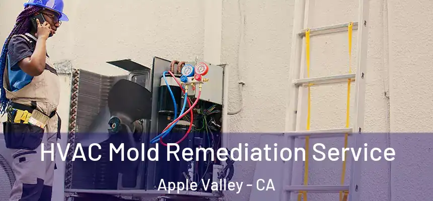 HVAC Mold Remediation Service Apple Valley - CA