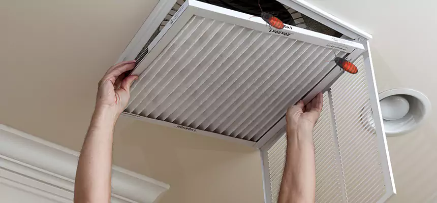 Preventive Cockroach-Proofing for Ducts in Apple Valley