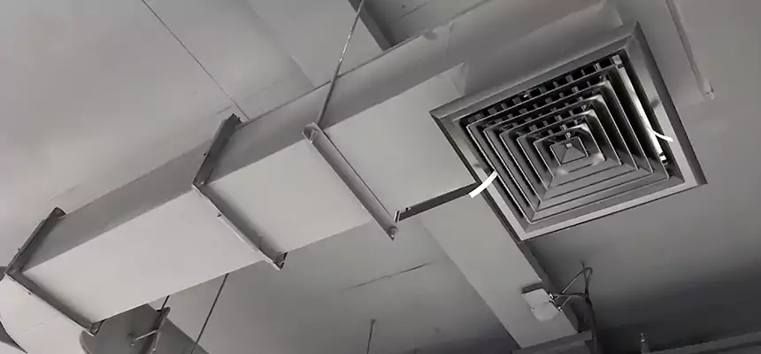 Restorative Allergy Relief Vent Cleaning – Coil, Blower & Housing Detail in Apple Valley