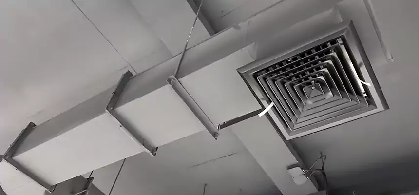 Our Pest Removal From Ducts Services in Apple Valley, CA