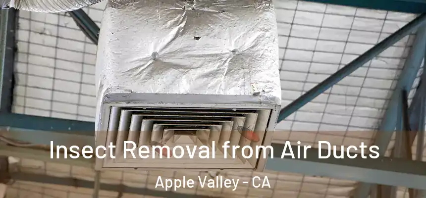 Insect Removal from Air Ducts Apple Valley - CA
