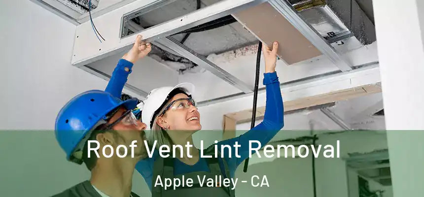 Roof Vent Lint Removal Apple Valley - CA