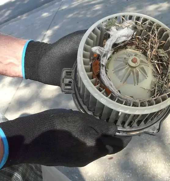 About Air Duct Mice Removal in Apple Valley, CA