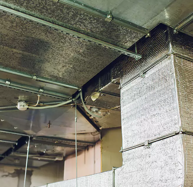 Why Homeowners & Businesses Trust Us in Apple Valley, CA?